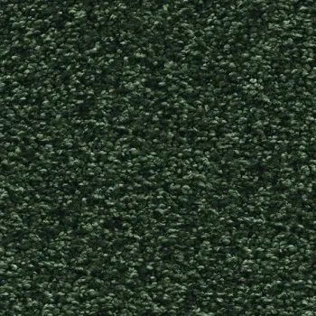 Draufsicht auf Vorwerk Romance 4G94 – Velours Teppichboden in gedecktem Farbton, ohne Label und Badge